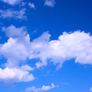 Meet your Posher, Jojo